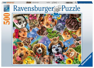 Puzle Ravensburger Dzīvnieku selfiji, 500 d.,15042 цена и информация | Пазлы | 220.lv