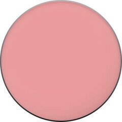 Rimmel Lasting Finish 4 g, 050 Live Pink cena un informācija | Bronzeri, vaigu sārtumi | 220.lv