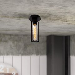 Opviq Noor griestu lampa Likya - N-1015 цена и информация | Потолочные светильники | 220.lv