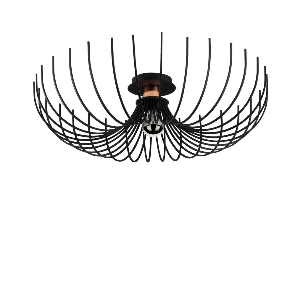 Opviq Noor griestu lampa Aspendos - N-639 cena un informācija | Griestu lampas | 220.lv
