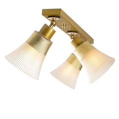 Opviq Noor griestu lampa Foca - N-118 цена и информация | Потолочные светильники | 220.lv