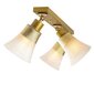 Opviq Noor griestu lampa Foca - N-118 цена и информация | Griestu lampas | 220.lv
