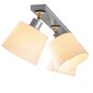Opviq Noor griestu lampa Kemer - N-268 цена и информация | Griestu lampas | 220.lv