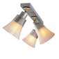 Opviq Noor griestu lampa Foca - N-119 cena un informācija | Griestu lampas | 220.lv