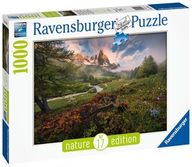 Пазл Ravensburger Французские Альпы, 1000 д., 15993 цена и информация | Пазлы | 220.lv