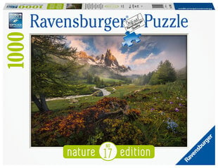 Puzle Ravensburger Francijas alpi, 1000 d., 15993 cena un informācija | Puzles, 3D puzles | 220.lv