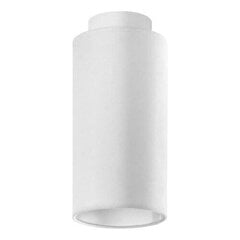 Lampex потолочный светильник Almiro A  цена и информация | Потолочные светильники | 220.lv