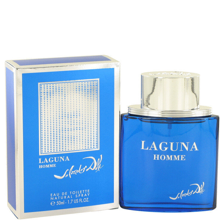 Salvador Dali Laguna Homme edt 50 ml cena un informācija | Vīriešu smaržas | 220.lv