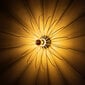 Opviq Sheen Sienas lampa Hemdem cena un informācija | Sienas lampas | 220.lv