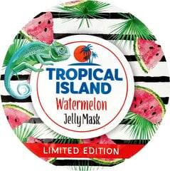 Gela sejas maska Marion Tropical Island 10 g cena un informācija | Sejas maskas, acu maskas | 220.lv