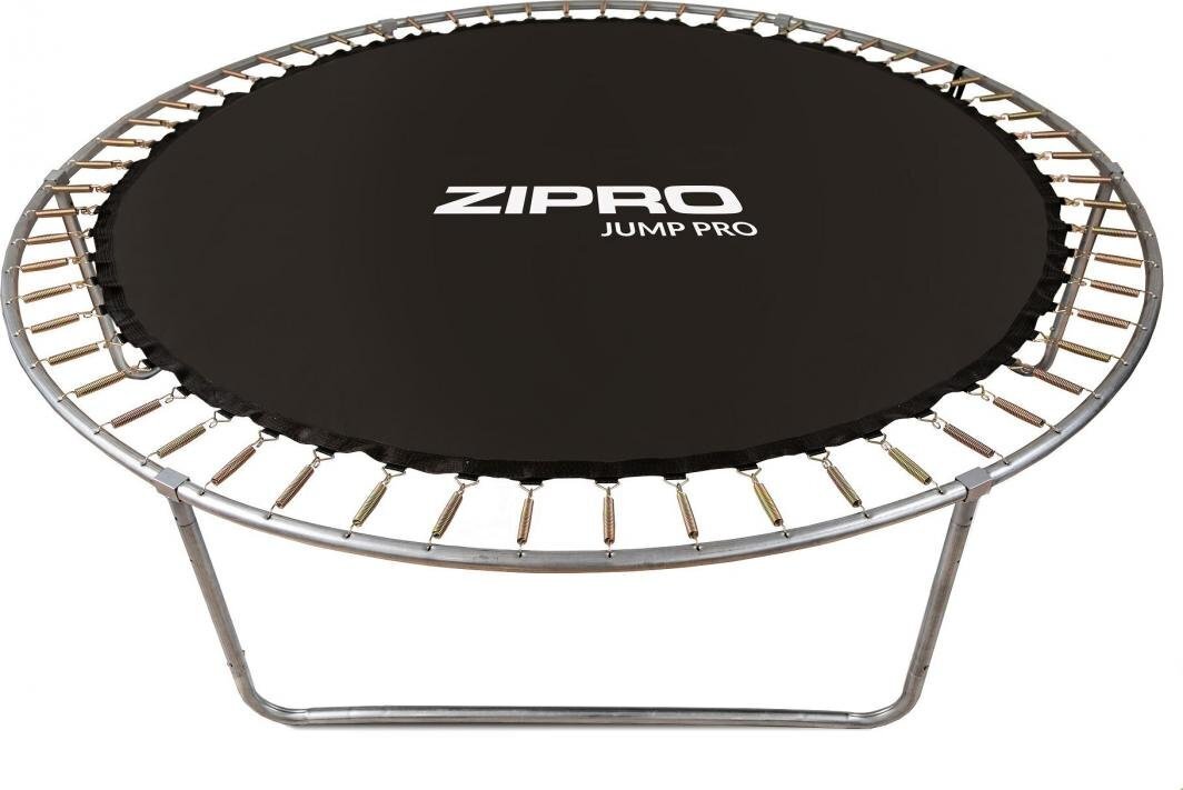 Batuts ZIPRO Jump Pro Premium 10FT, 312 cm, ar iekšējo drošības tīklu цена и информация | Batuti | 220.lv