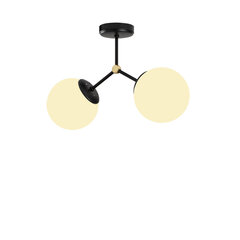 Opviq Подвесной светильник Damar - 6331 цена и информация | Настенный/подвесной светильник Eye Spot 11 BL, чёрный | 220.lv