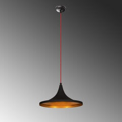 Opviq Подвесной светильник Elmas - 3531 цена и информация | Настенный/подвесной светильник Eye Spot 11 BL, чёрный | 220.lv