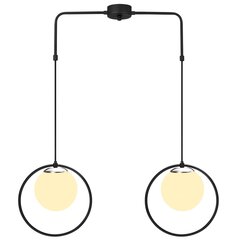 Opviq Подвесной светильник Dolunay - 4501 цена и информация | Люстры | 220.lv
