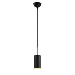 Opviq Piekaramā lampa Kem - 6397 цена и информация | Люстры | 220.lv