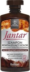 Цвет восстанавливающий шампунь для коричневых волос Farmona Jantar Colour Revitalising 330 мл цена и информация | Шампуни | 220.lv