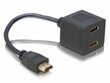 Pāreja HDMI -> 2x HDMI цена и информация | Adapteri un USB centrmezgli | 220.lv