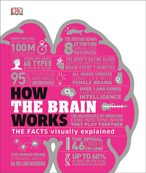 How the Brain Works : The Facts Visually Explained цена и информация | Enciklopēdijas, uzziņu literatūra | 220.lv