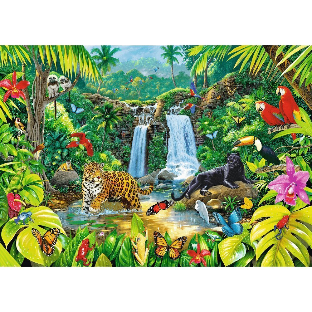 Puzle Džungļi Trefl 2000 d. cena un informācija | Puzles, 3D puzles | 220.lv