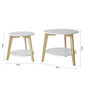 Divu galdiņu komplekts SoBuy FBT75-W, balts/brūns cena un informācija | Žurnālgaldiņi | 220.lv