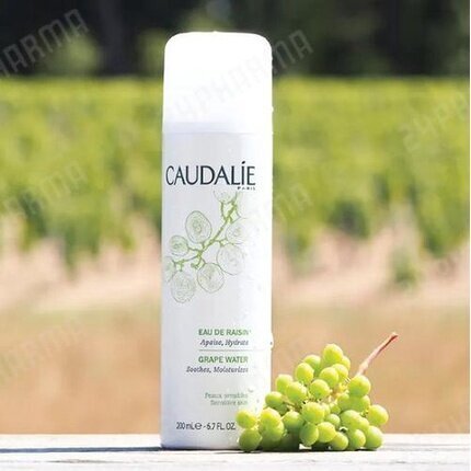 Sejas sprejs Caudalie Grape Water 200 ml cena un informācija | Sejas ādas kopšana | 220.lv