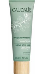 Detoksicējoša sejas maska Caudalie Instant Detox 75 ml cena un informācija | Sejas maskas, acu maskas | 220.lv