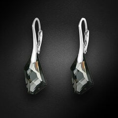 Sudraba auskari "Hiporboreja (Silver Night)" ar Swarovski™ kristāliem cena un informācija | Auskari | 220.lv