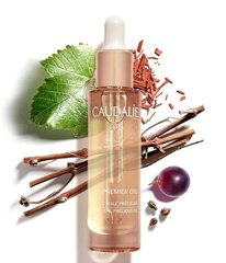 Universāla sausa sejas eļļa Caudalie Premier Cru The Precious Oil 29 ml cena un informācija | Sejas krēmi | 220.lv