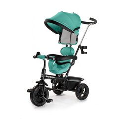 Trīsritenis ar aksesuāriem Babytiger FLY, Green-blue цена и информация | Трехколесные велосипеды | 220.lv