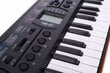 Bērnu sintezators Casio SA-76 cena un informācija | Taustiņinstrumenti | 220.lv