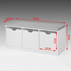 Apavu skapītis SoBuy FSR30-W, balts цена и информация | Полки для обуви, банкетки | 220.lv