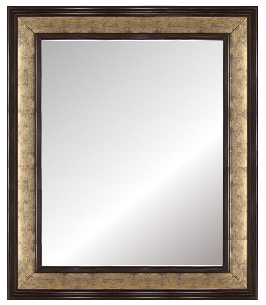 Spogulis Bari 40x50 cm, zelta krāsas/brūns цена и информация | Spoguļi | 220.lv