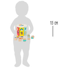 Figūru sortēšanas kubs цена и информация | Развивающие игрушки | 220.lv