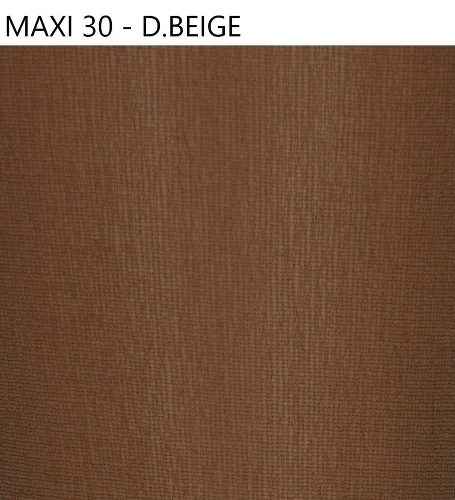 Sieviešu zeķbikses liela izmēra Favorite Maxi 30 den 41158 d.beige цена и информация | Zeķubikses | 220.lv