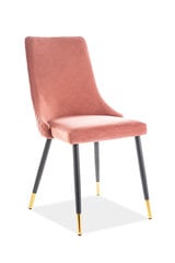 2-u krēslu komplekts Signal Meble Piano, rozā cena un informācija | Virtuves un ēdamistabas krēsli | 220.lv