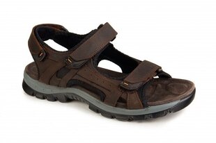 Vīriešu sandales BADEN cena un informācija | Sieviešu kurpes | 220.lv