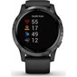 Garmin Vivoactive 4 cena un informācija | Viedpulksteņi (smartwatch) | 220.lv