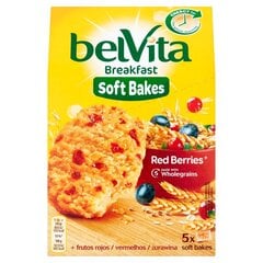 Печенье BELVITA с клюквой, изюмом, 250г цена и информация | Конфетки | 220.lv