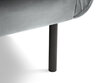 Dīvāns Cosmopolitan Design Vienna 3S, gaiši pelēks velūrs cena un informācija | Dīvāni | 220.lv