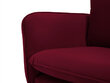 Dīvāns Cosmopolitan Design Vienna 3S, sarkans velūrs cena un informācija | Dīvāni | 220.lv