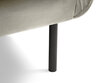 Dīvāns Cosmopolitan Design Vienna 3S, smilškrāsas velūra cena un informācija | Dīvāni | 220.lv