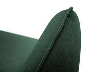 Кресло Cosmopolitan Design Florence, зеленое цена и информация | Кресла в гостиную | 220.lv