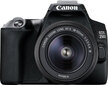 Canon EOS 250D 18-55mm III цена и информация | Digitālās fotokameras | 220.lv