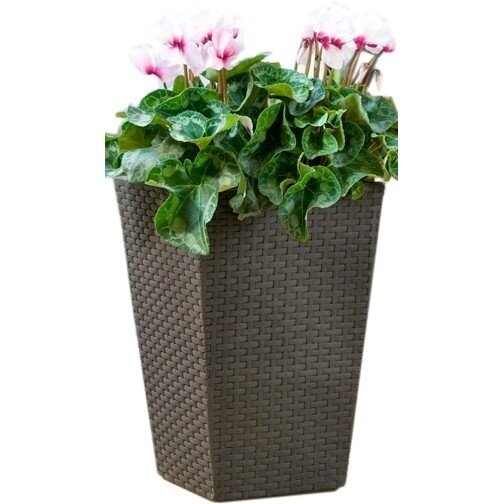 Keter puķu pods Rattan Planter, S, brūns цена и информация | Puķu podi | 220.lv