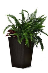 Цветочный горшок Rattan Planter M 55,4л, коричневый цена и информация | Вазоны | 220.lv