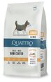 QUATTRO POULTRY 1,5 KG JAUNIEM SUŅIEM