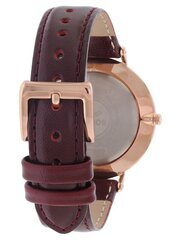 Мужские часы Boccia Titanium 3590-07 цена и информация | Мужские часы | 220.lv