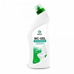 WC-GEL, tīrīšanas līdzeklis tualetēm un vannas istabām, 750 ml цена и информация | Чистящие средства | 220.lv