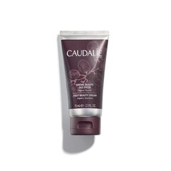 Питательный и регенерирующий крем для ног Caudalie Foot Beauty 75 мл цена и информация | Кремы, лосьоны для тела | 220.lv