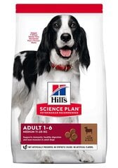 Hill's Science Plan Medium Adult suņu barība ar jēra gaļu un rīsiem, 2,5 kg цена и информация | Сухой корм для собак | 220.lv